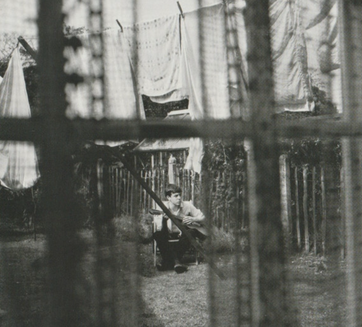 Paul McCartney – Chaos And Creation In The Backyard image 0