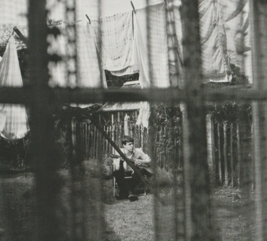Paul McCartney – Chaos And Creation In The Backyard image 0